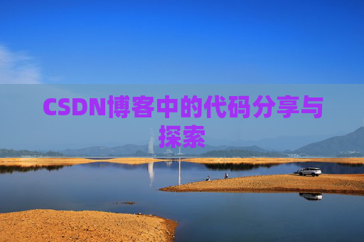 CSDN博客中的代码分享与探索